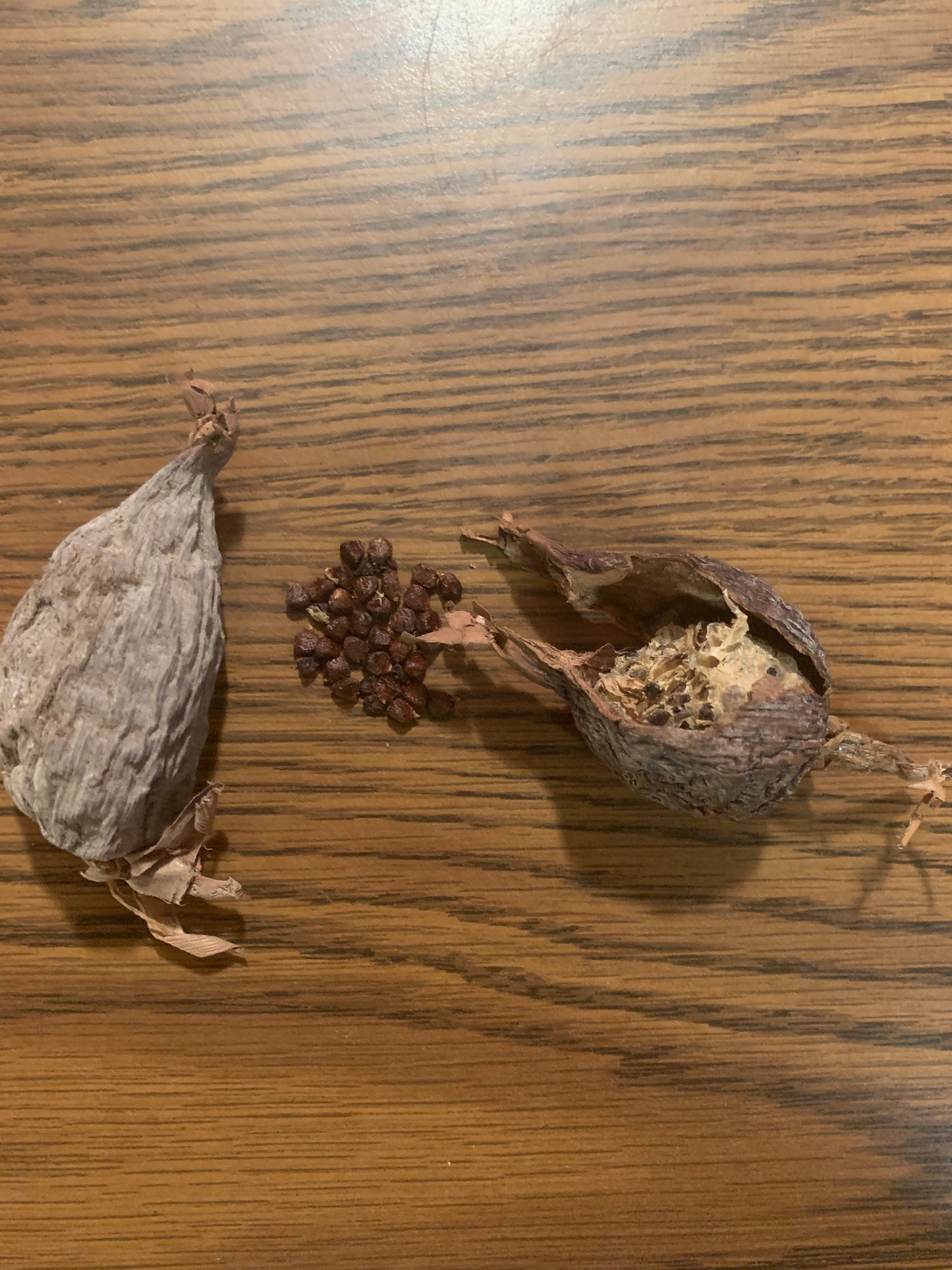 Ataare (Guinea Pepper)